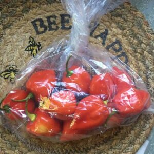 Habanero Peppers (12 per bag)