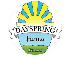 Dayspring logo